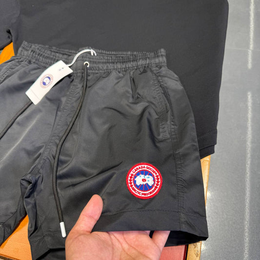 Short canada goose